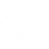 تصویرOverlay Network